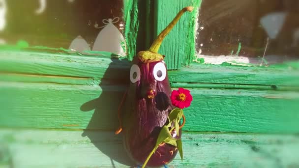 Funny Figure Eggplant Garden Example Decorative Work Vegetables Autumn Harvest — Stock Video