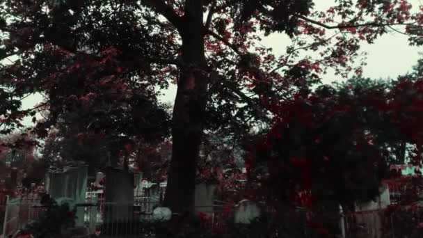 Sonbaharda Yağmurlu Sisli Bir Günde Mezarlık — Stok video