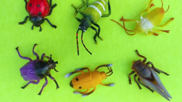 Juguetes Plásticos Insectos Sobre Fondo Color — Vídeos de Stock