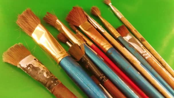 Old Brushes Paint Green Background — Stock videók