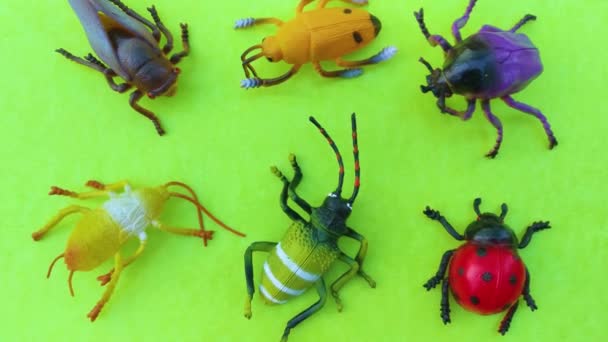 Plastic Insect Toys Color Background — Stock Video