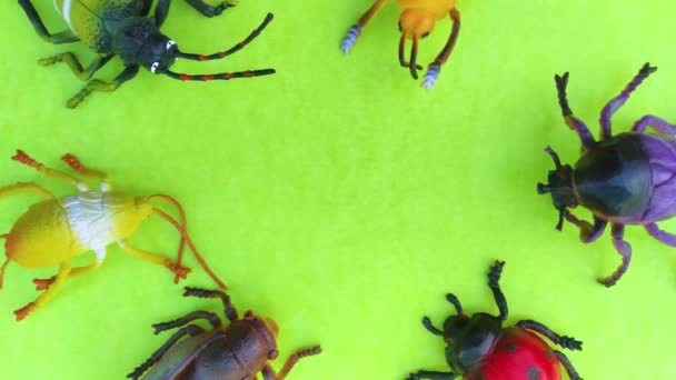 Plastic Insecten Speelgoed Kleur Achtergrond — Stockvideo