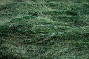 Yeşil başlıkları kapat arkaplan dokusu