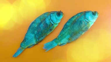 Turuncu arka planda kuru balık, yakın plan.