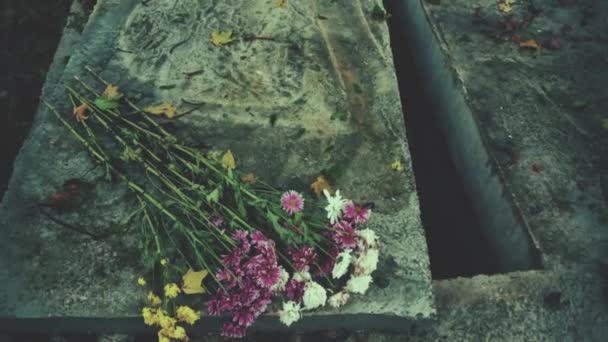 新しい空の墓を開けろ墓地 石の覆いに緑の苔 — ストック動画