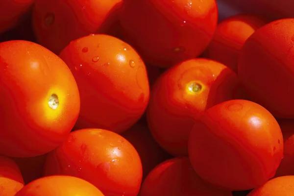 Close Tomates Maduros Fundo Legumes — Fotografia de Stock