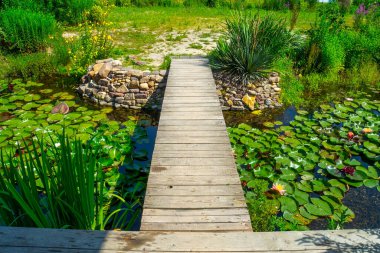Lotus göletinin üzerindeki ahşap iskele köprüsü.