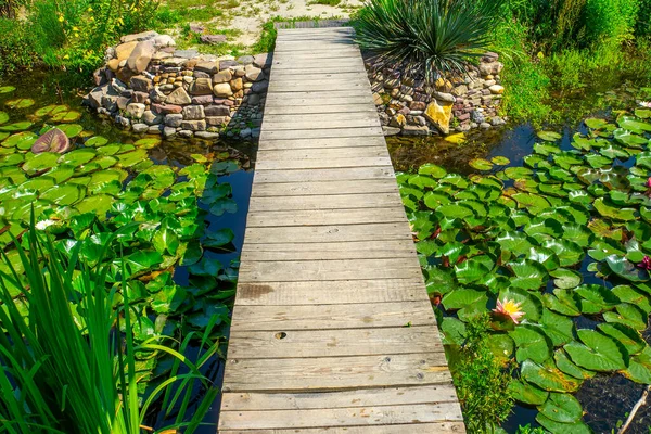 Lotus Göletinin Üzerindeki Ahşap Iskele Köprüsü — Stok fotoğraf