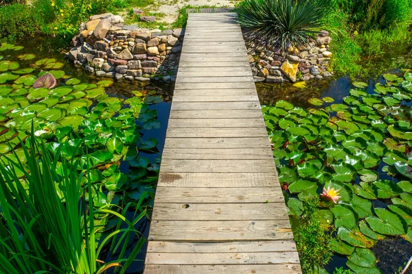 Ponte Del Molo Legno Sul Laghetto Loto — Foto Stock