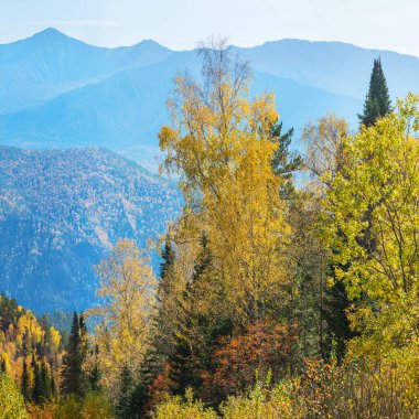 Sayan Dağları, Sibirya 'da güneşli bir sonbahar günü. Ağaçların ve tepelerin sonbahar renkleri mavi sisli.