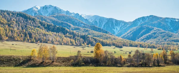 Panorámás Őszi Kilátás Napos Nap Rét Erdők Hófödte Csúcsok — Stock Fotó