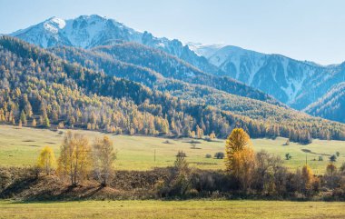 Dağ vadisi, sonbahar manzarası. Mavi sisli karla kaplı zirveler.