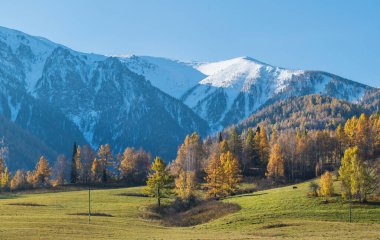 Dağ vadisi, sonbahar manzarası. Mavi sisli karla kaplı zirveler.