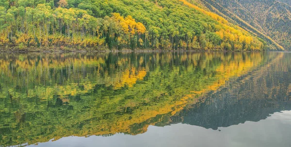 Reflektion Vattnet Höstskogen Naturlig Bakgrund Panoramautsikt — Stockfoto