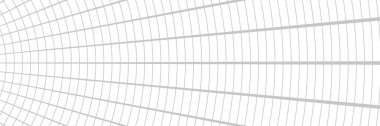 Gray vector background, banner. Perspective grid.	