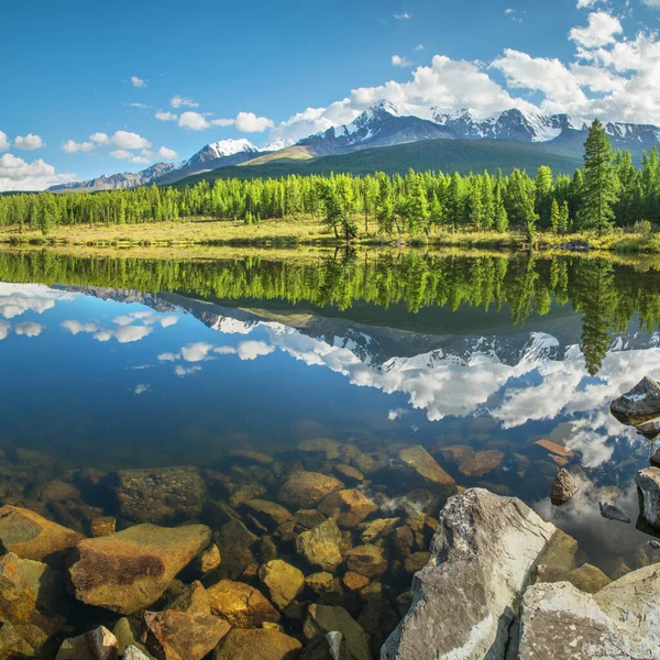 Lago Montês Pitoresco Manhã Verão Altai Belo Reflexo Montanhas Céu — Fotografia de Stock