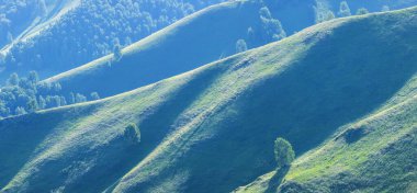Yeşil tepeler, çayırlar ve dağ yamaçları. Bahar kırsal arazisi. Doğal yeşil arkaplan.