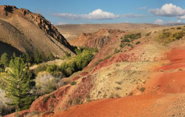 Milli park vadisi manzarası 