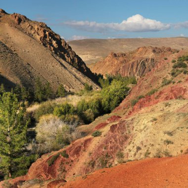 Milli park vadisi manzarası 
