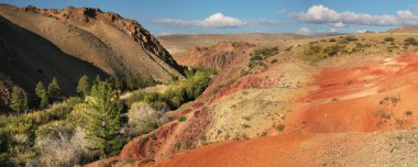 Milli park vadisi manzarası 