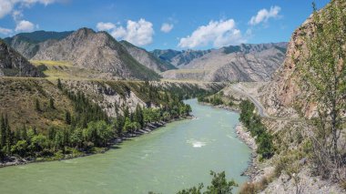 Nehir dağ geçidinde akar, yaz günü.