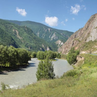 Yazın dağ nehri