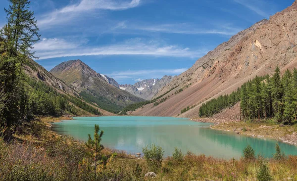 Wild Mountain Lake Στα Βουνά Altai Καλοκαιρινή Μέρα — Φωτογραφία Αρχείου