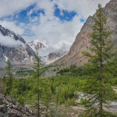 Bulutlu bir sabahta dağ geçidi. Doğal ışıkta manzara. Yaz seyahati.