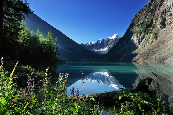 Paisagem Montanhosa Com Lago Natureza — Fotografia de Stock