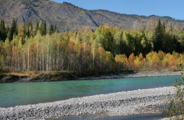 Nehir ve ağaçlarla güneşli dağ manzarası