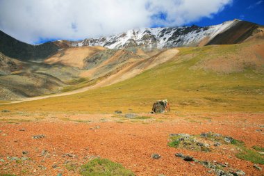 Güneşli vadi manzarası, karlı dağ tepeleri ve bulutlu gökyüzü.
