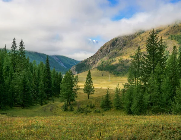 Zielony Górski Krajobraz Niskimi Chmurami — Zdjęcie stockowe