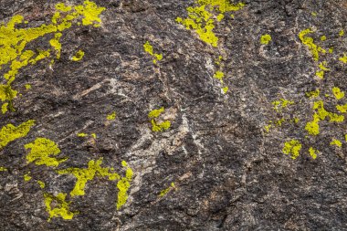 Doğal taşın dokusu, kaba bir zemin.