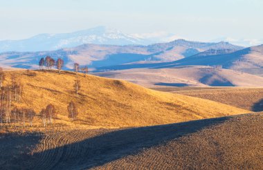 Sonbahar vadisi sahnesi, uzak karlı tepeler.