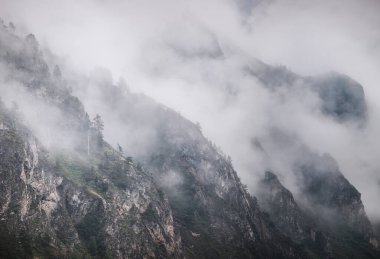 Sisin ve bulutların tepesinde. Dağlarda kötü hava, sabah manzarası.