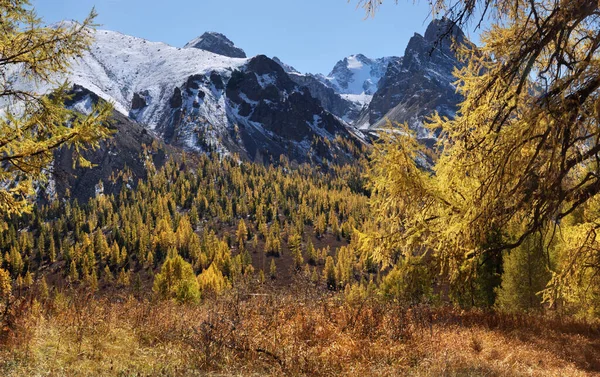 Сцена Осеннего Леса Фоне Снежных Пород — стоковое фото