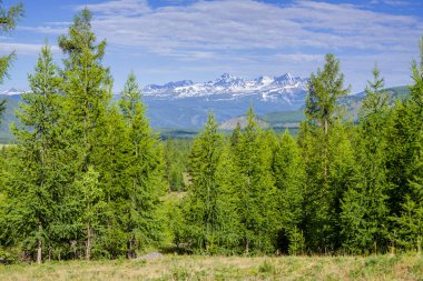 Green forest and snow-capped mountain peaks. Travel and summer vacation.	