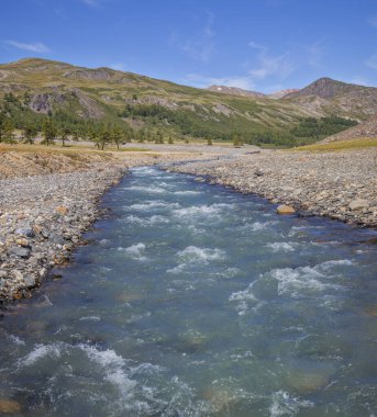 Yaz günü berrak bir dağ nehri, mavi bir gökyüzü