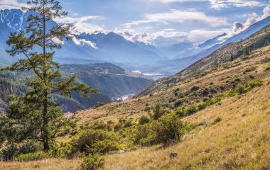 Bir yaz sabahı dağ geçidi, bulutların tepesinde.
