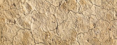 Cracked dry soil. Desert, arid climate. Natural backgrounds.