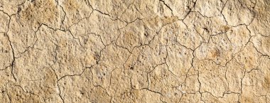 Cracked dry soil. Desert, arid climate. Natural backgrounds.