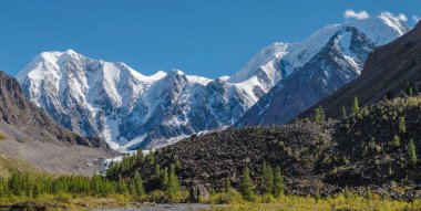 Picturesque mountain view. Glaciers and snow-capped peaks. Rocks and a rare forest.