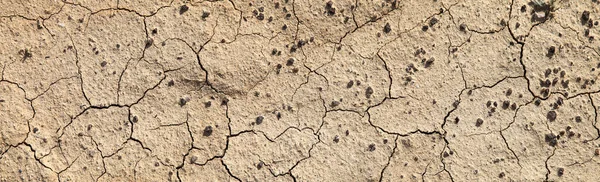 Cracked dry soil. Desert, arid climate. Natural backgrounds