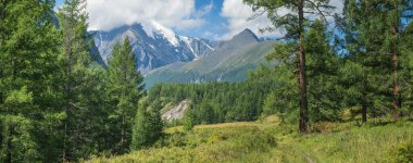 Dağ manzarası, panoramik manzara. Yaz yeşilliği, güneşli gün.