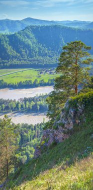 View of the Katun river valley, Altai. Vertical photo. Sunny day in early summer. Travel and vacation in the mountains.	