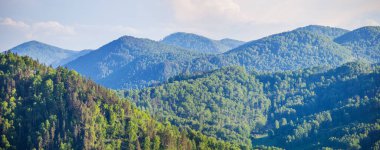 Ormanla kaplı dağlar, yaz güneşli gün, panoramik manzara