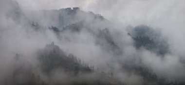 Mountains in the clouds, natural backgrounds. Misty morning, natural light.	