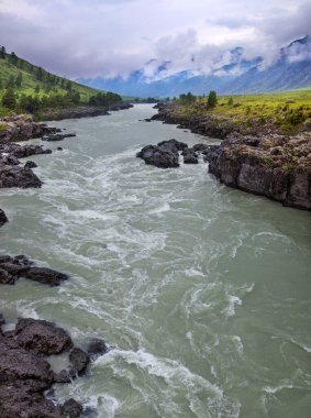 Katun River in the Altay Mountains. Stormy stream among the rocks. Rainy weather, natural light.	