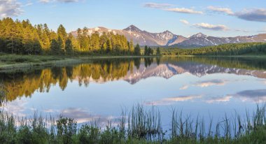 Bir yaz sabahı Altai dağlarındaki vahşi orman gölünün yansıması.