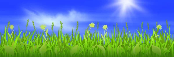 Spring green grass on blue sky background with shining sun